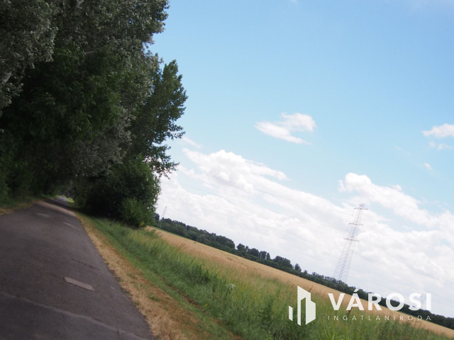 Iparterület Szeged és Vásárhely között, a Tisza hídnál!