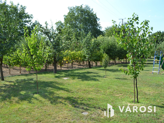 Csopakon, patakparti nívós ingatlan eladó!