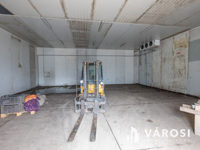 Makói, mezőgazdasági tanya/telephely eladó!