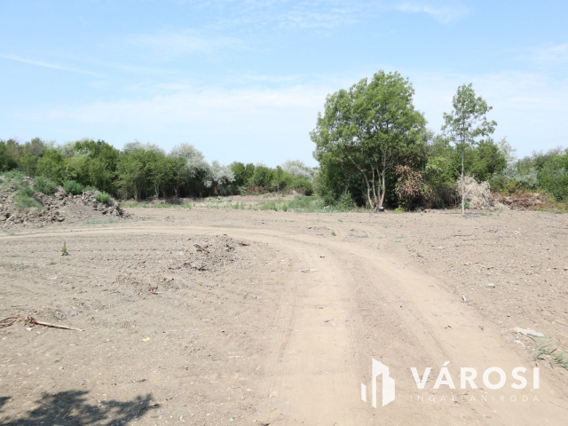 Szőreg kiváló részén, belterületi építési telek! 2