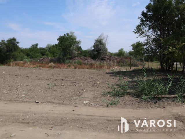 Szőreg kiváló részén, belterületi építési telek! 2