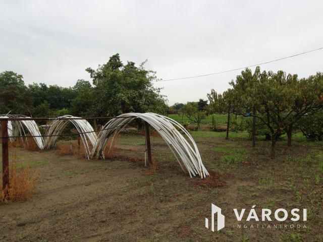 Napfényes mezőgazdasági terület 3000m2-en, Szatymazon eladó