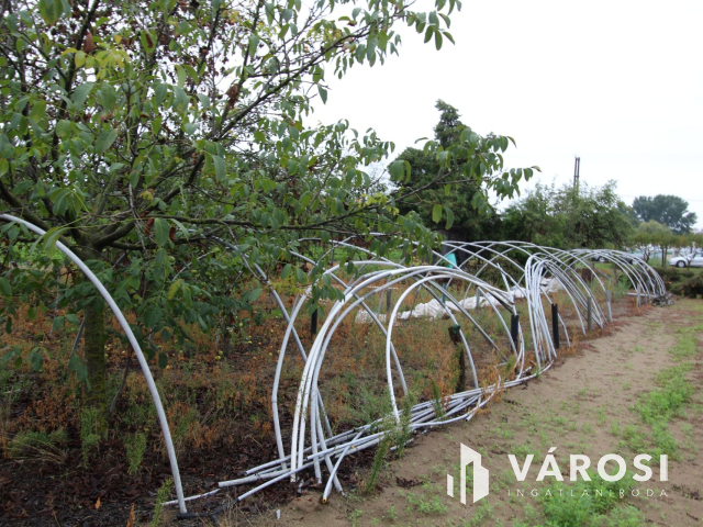 Napfényes mezőgazdasági terület 3000m2-en, Szatymazon eladó