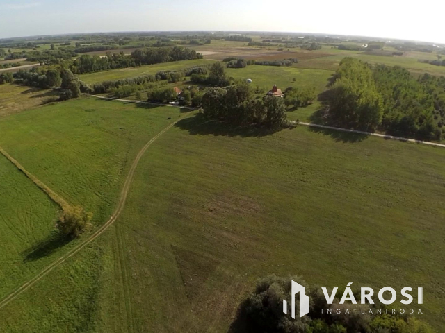 15 hektáros birtok Szegedhez közel