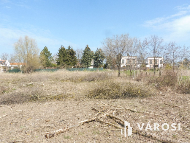 Újszegedi zártkert a Maros parton eladó!