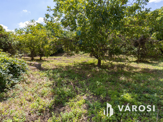 Pilismaróton, belterületi telek, most akciós áron eladó