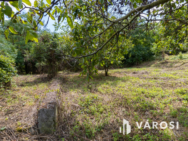 Pilismaróton, belterületi telek, most akciós áron eladó
