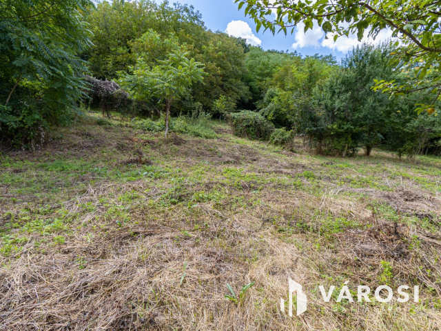 Pilismaróton, belterületi telek, most akciós áron eladó