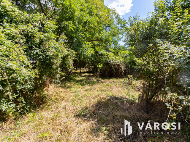 Pilismaróton, belterületi telek, most akciós áron eladó