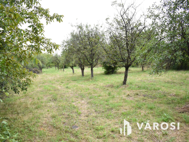 4229 m2-es összközműves építési telek fürdő ővezetben!