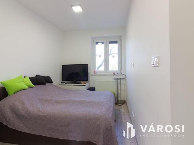 Rút kiskacsából hattyú lett....