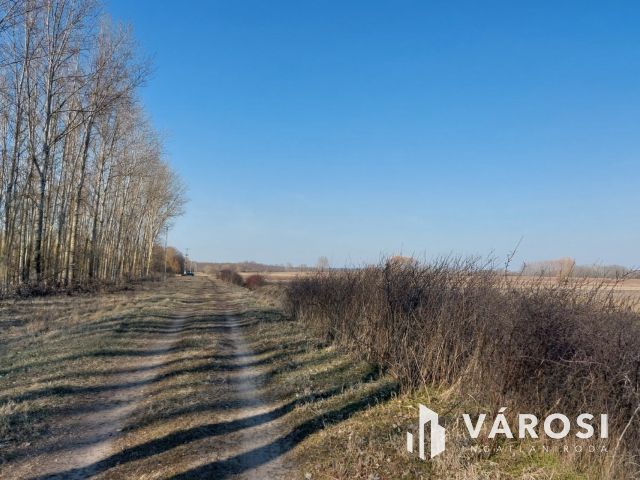 16 hektáros, sokoldalúan hasznosítható terület eladó