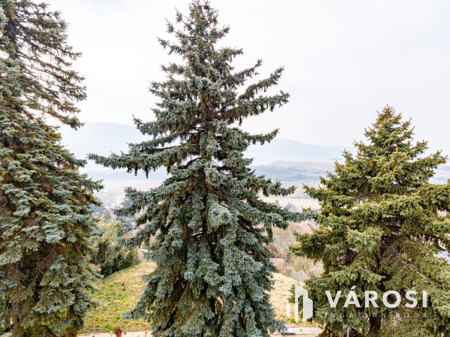 Pilisborosjenő és Budapest határán, panorámás családi ház