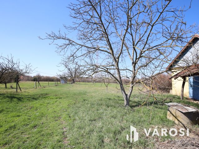 Eladó telek a gyulai ipari parkban