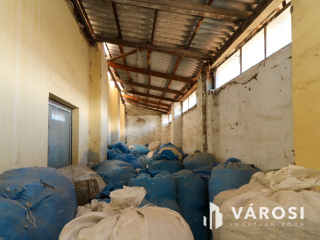 Eladó ipari ingatlan – nagy terekkel és saját kúttal!