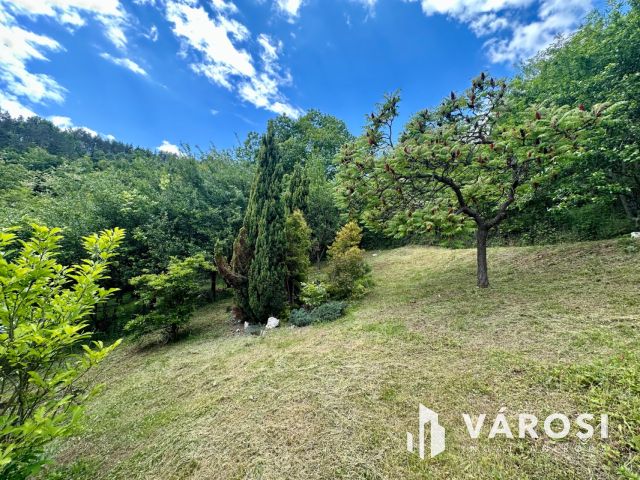 Erdei környezetben, vendégháznak alkalmas komplexum eladó!