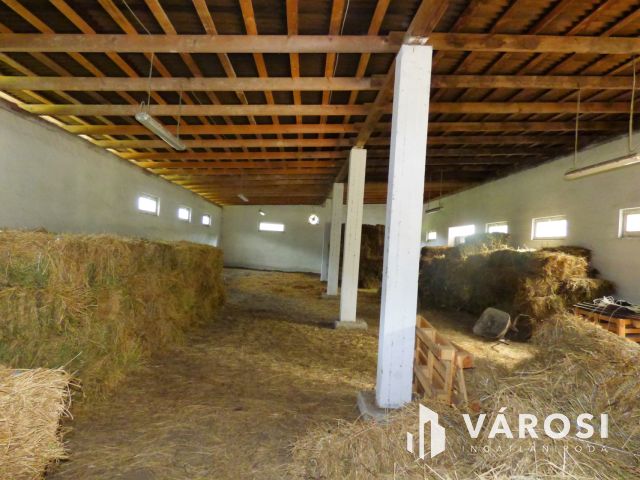 Ipari csarnok eladó egyedi hitelkonstrukcióval is!