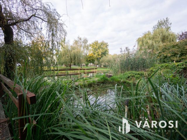 Családi ház a Holt-Duna partján, osztható telekkel!