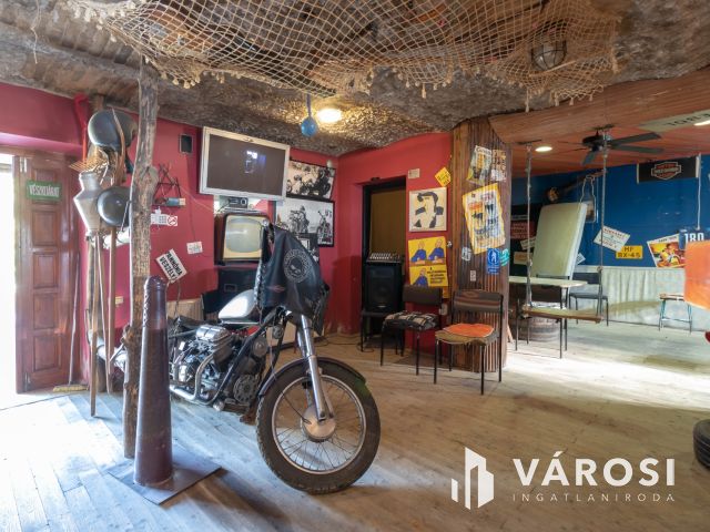 Többfunkciós, tágas, 250 m2-es családi ház Simontornyán