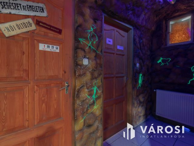 Többfunkciós, tágas, 250 m2-es családi ház Simontornyán