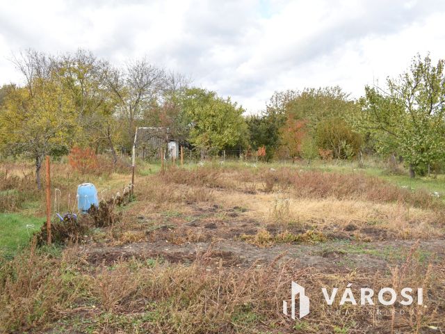 4661 m2 építési telek eladó Gyulán!