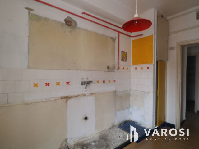 A TIK közvetlen szomszédságában !