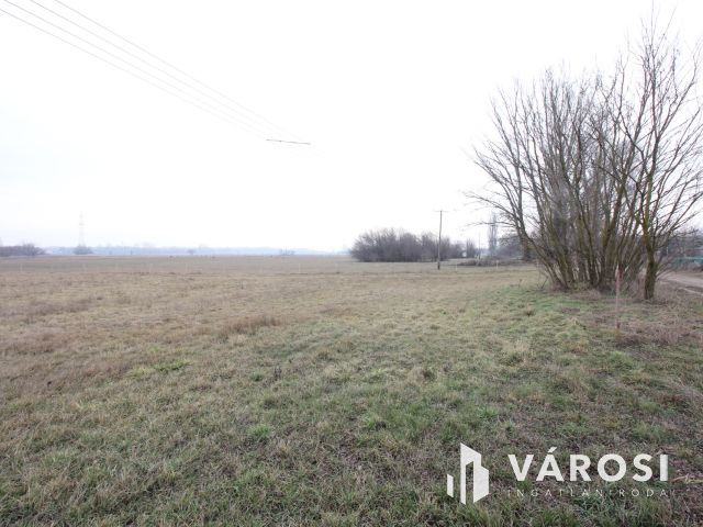 Szeretne passzív jövedelmet dióból?