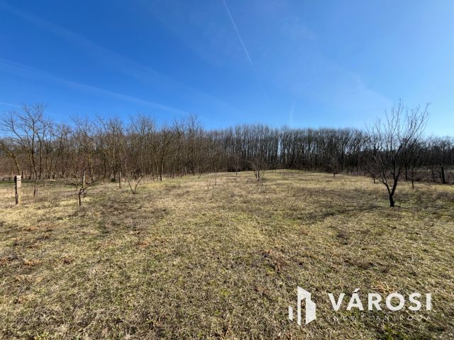 Nyírábrányban Parasztház melléképületekkel Eladó!