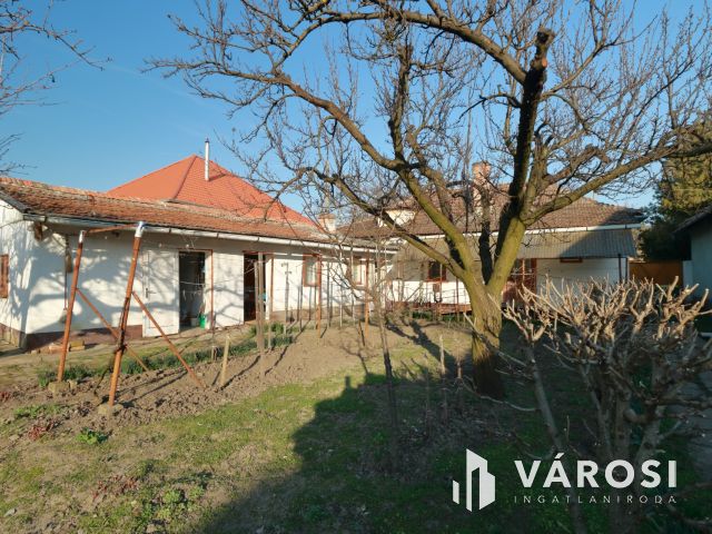 Kis családi fészek