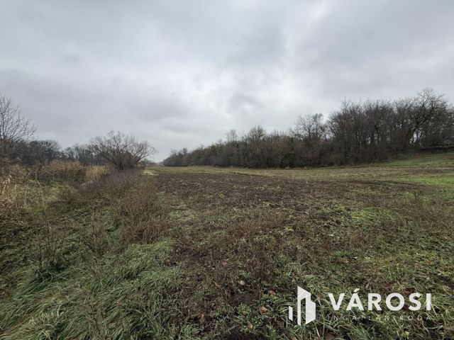 BEFEKTETÉSI LEHETŐSÉG PÁZMÁNDON - 8 TELEK, PANORÁMA