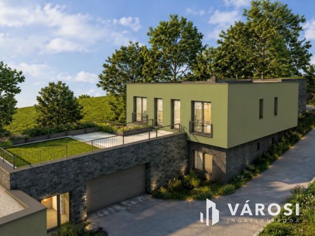 Modern zöldövezeti luxusotthon Érdligeten
